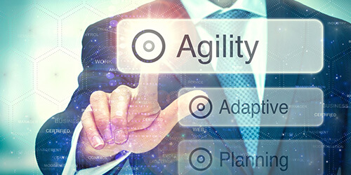 A cloud expert choosing agility to ensure that solutions are scalable and can adapt to changing business needs.